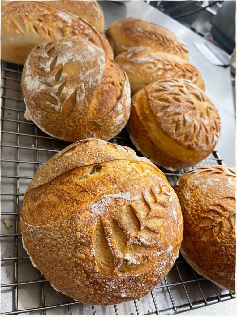 bread baked loaves